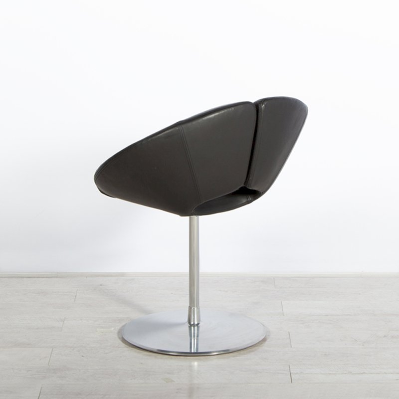 Black Leather Little Apollo Chair